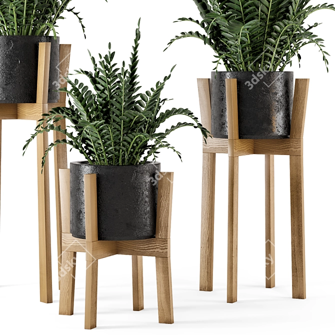 Rustic Indoor Plants in Concrete Pot - Set 535 3D model image 3