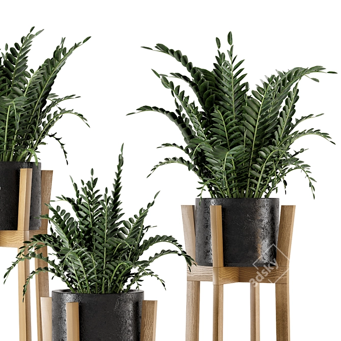 Rustic Indoor Plants in Concrete Pot - Set 535 3D model image 4