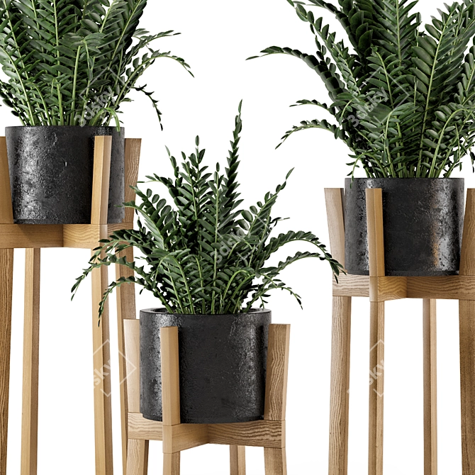 Rustic Indoor Plants in Concrete Pot - Set 535 3D model image 5