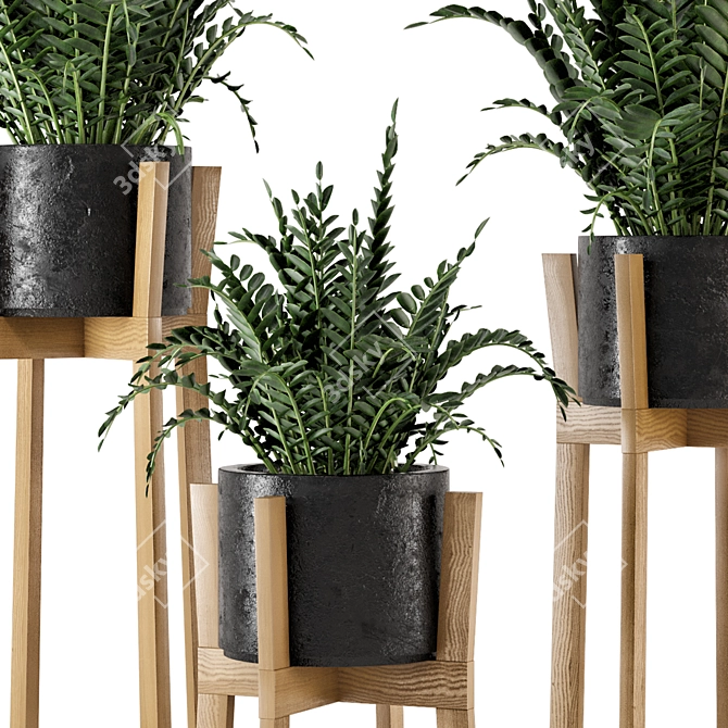 Rustic Indoor Plants in Concrete Pot - Set 535 3D model image 6