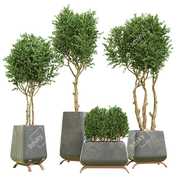 Indoor Plant Vol. 45 - 2015 Edition 3D model image 1