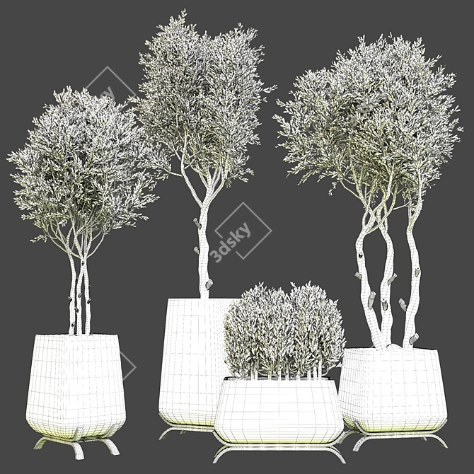 Indoor Plant Vol. 45 - 2015 Edition 3D model image 4