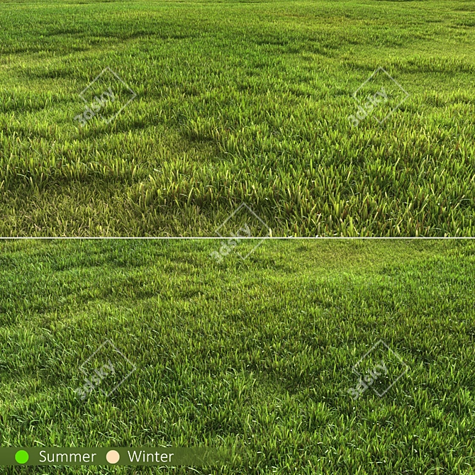 Versatile Grass Pack 3D model image 1