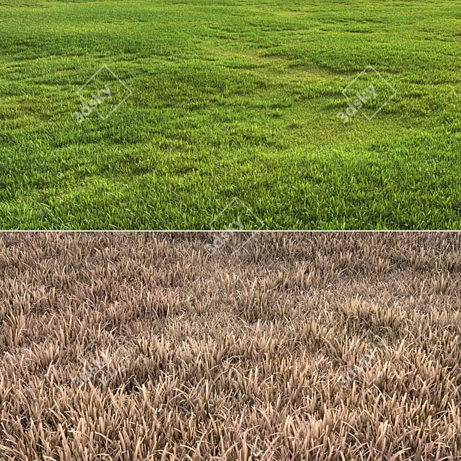 Versatile Grass Pack 3D model image 2