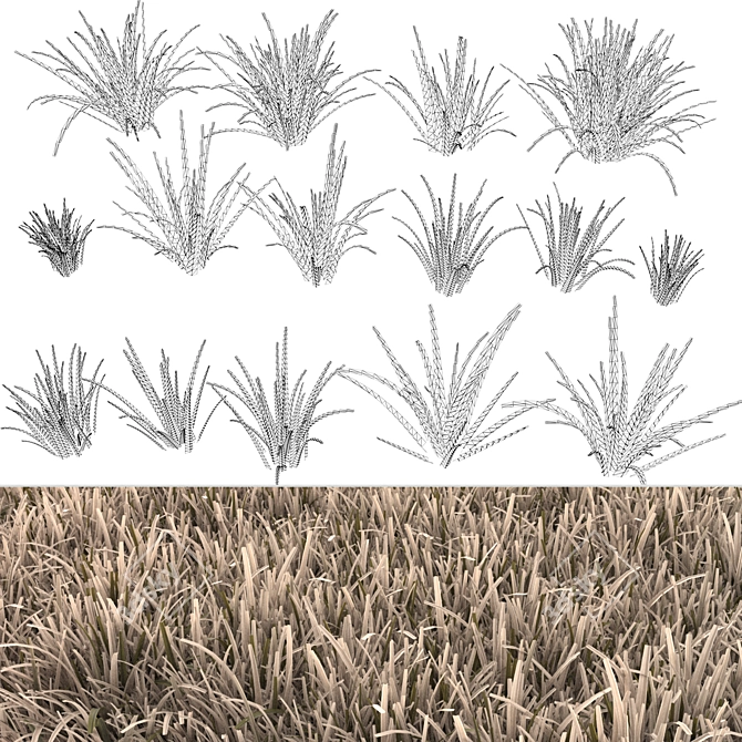 Versatile Grass Pack 3D model image 7