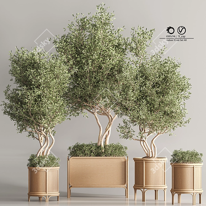 Greenery Deluxe Indoor Plant Set 3D model image 1