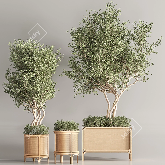 Greenery Deluxe Indoor Plant Set 3D model image 2