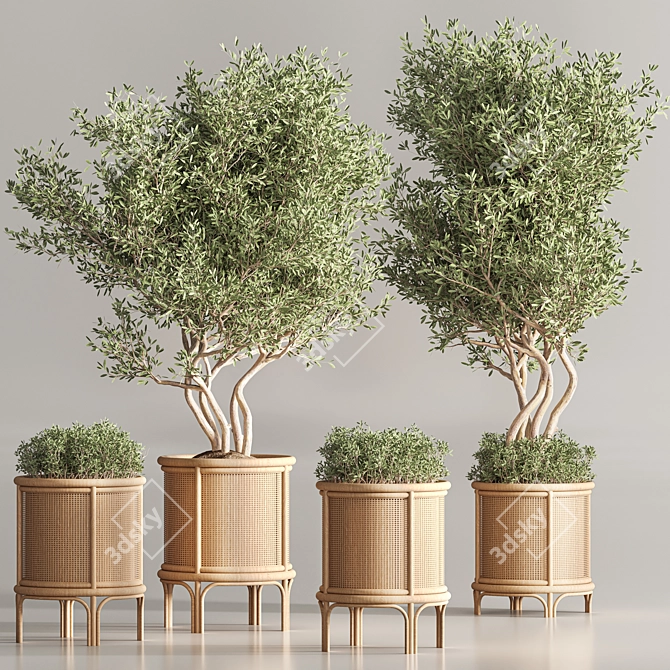 Greenery Deluxe Indoor Plant Set 3D model image 3