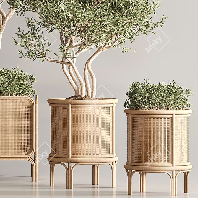 Greenery Deluxe Indoor Plant Set 3D model image 4