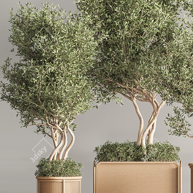 Greenery Deluxe Indoor Plant Set 3D model image 5