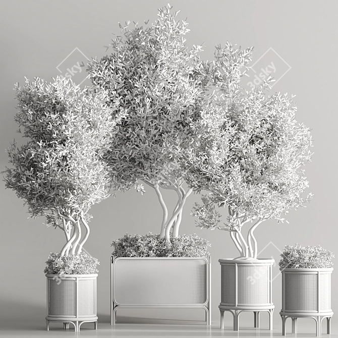 Greenery Deluxe Indoor Plant Set 3D model image 6