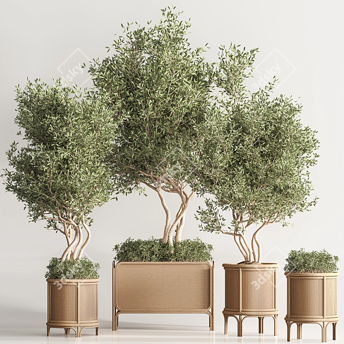 Greenery Deluxe Indoor Plant Set 3D model image 7