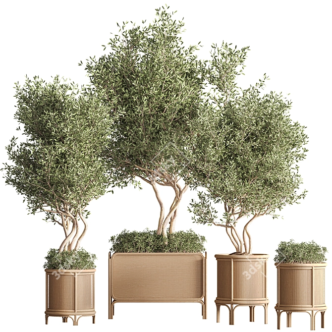 Greenery Deluxe Indoor Plant Set 3D model image 8