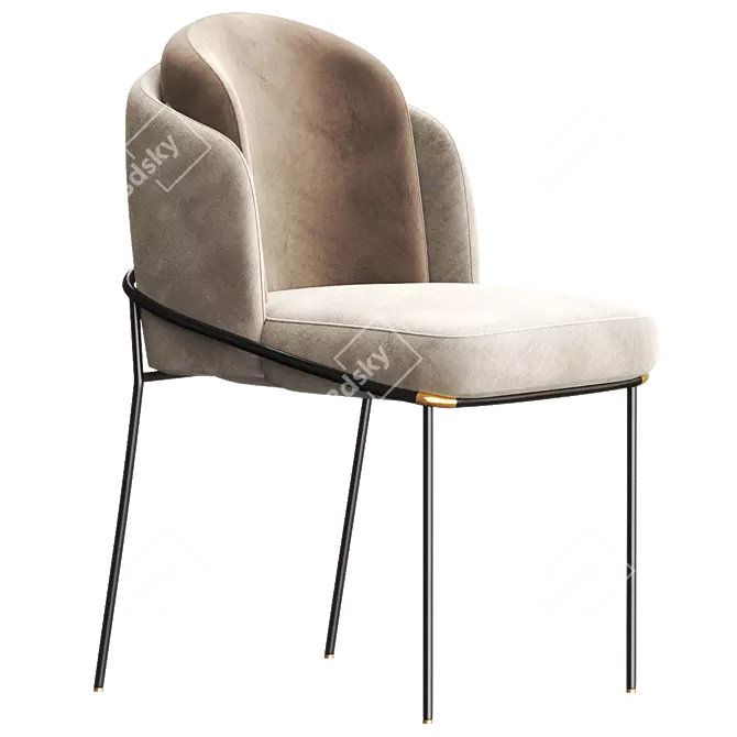 Luxurious FIL NOIR Chair: 2017 Version 3D model image 1