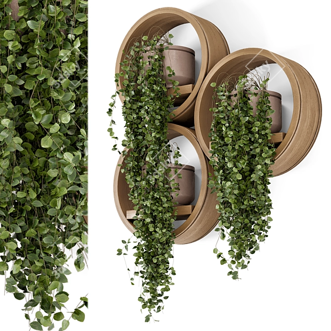 Concrete Pot Hanging Plants Set 3D model image 1