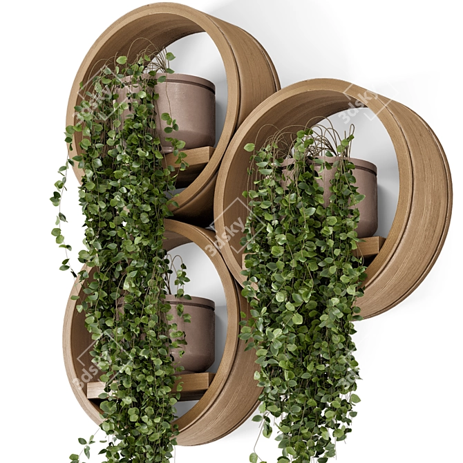 Concrete Pot Hanging Plants Set 3D model image 2