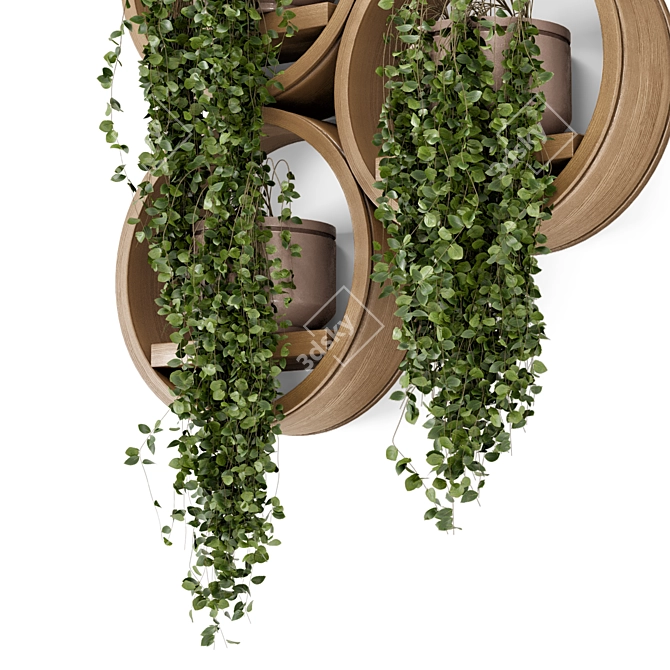 Concrete Pot Hanging Plants Set 3D model image 3