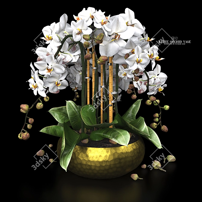 Elegant White Orchid Vase 3D model image 2