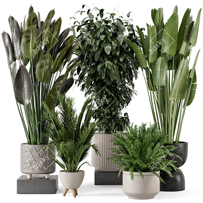 Rustic Concrete Pot Indoor Plant Set 3D model image 1