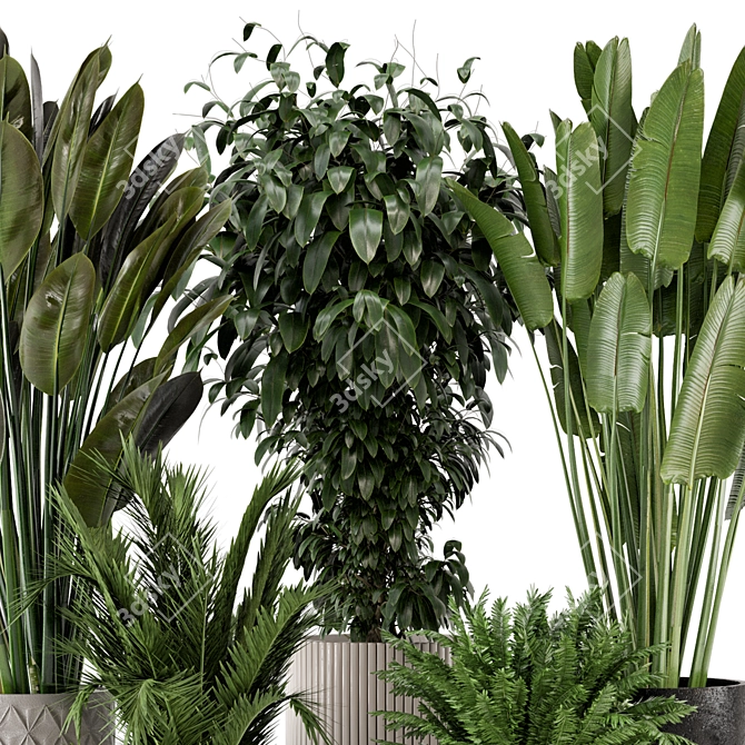 Rustic Concrete Pot Indoor Plant Set 3D model image 2