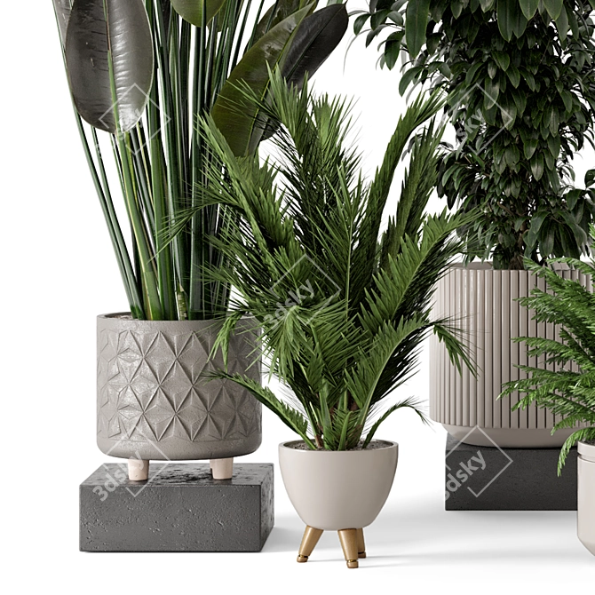 Rustic Concrete Pot Indoor Plant Set 3D model image 3