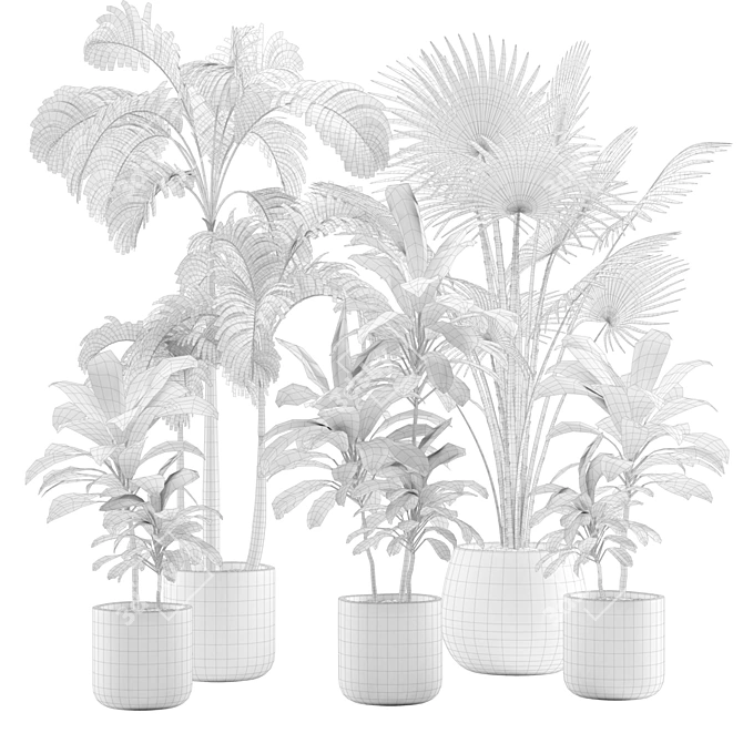 Tropical Indoor Plants Pack 3D model image 3