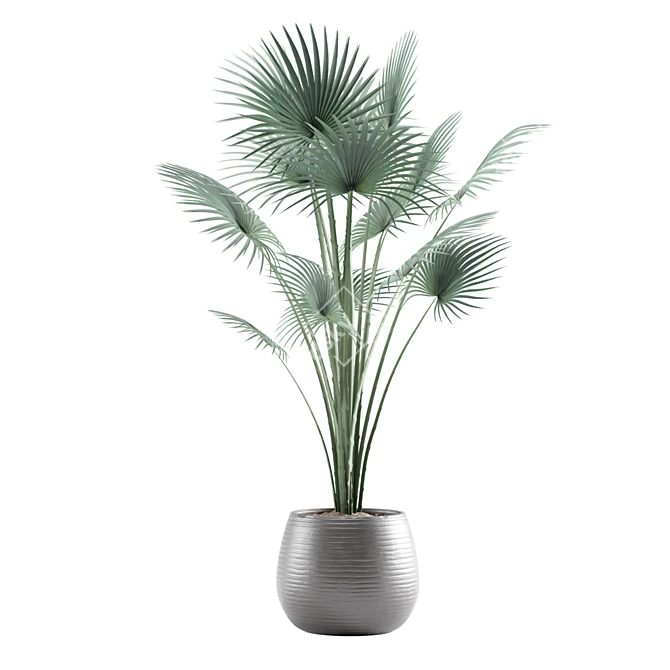 Tropical Indoor Plants Pack 3D model image 6