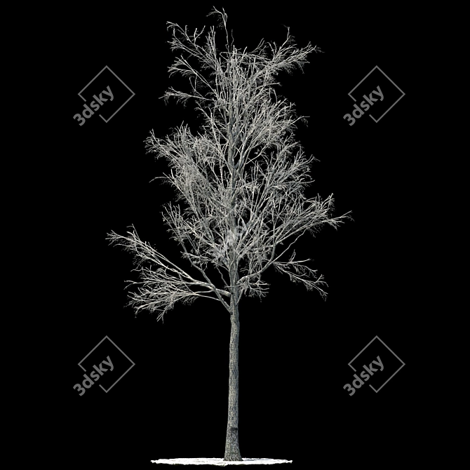 Snow-covered Aspen Tree Sculpture 3D model image 1