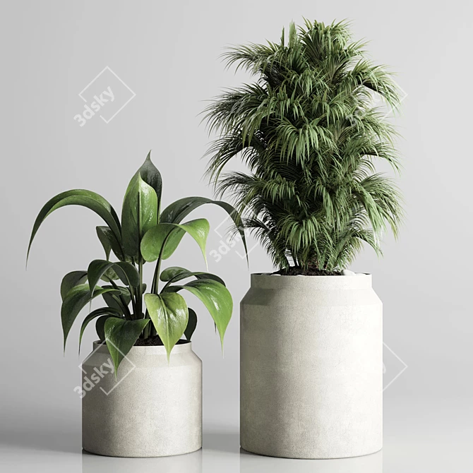 197 Plant Collection: Ficus Lyrata, Palm, Cactus in Concrete Vase 3D model image 2