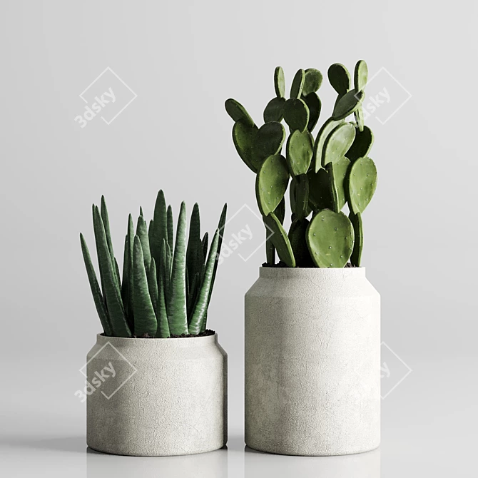 197 Plant Collection: Ficus Lyrata, Palm, Cactus in Concrete Vase 3D model image 4