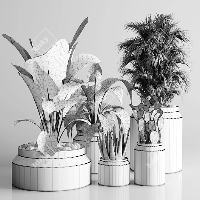 197 Plant Collection: Ficus Lyrata, Palm, Cactus in Concrete Vase 3D model image 5