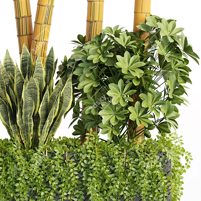 Greenery Galore: Indoor Plant Collection 3D model image 3