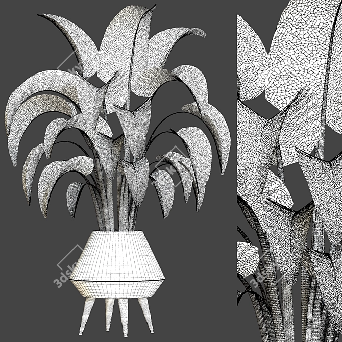 Indoor Plant Collection 46 3D model image 2