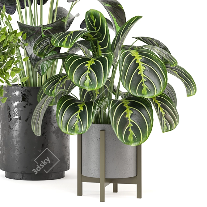 Green Oasis: Indoor Plants Set 3D model image 2