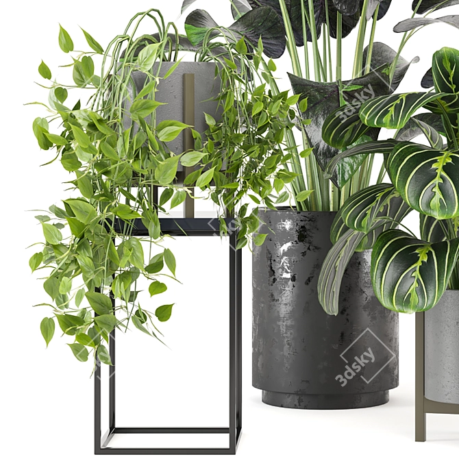 Green Oasis: Indoor Plants Set 3D model image 3