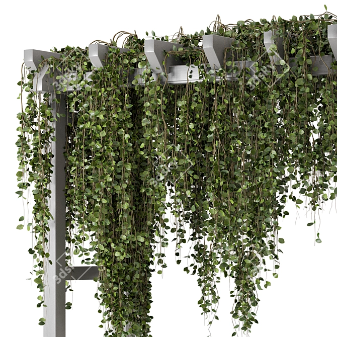 Vibrant Outdoor Hanging Plants 3D model image 2