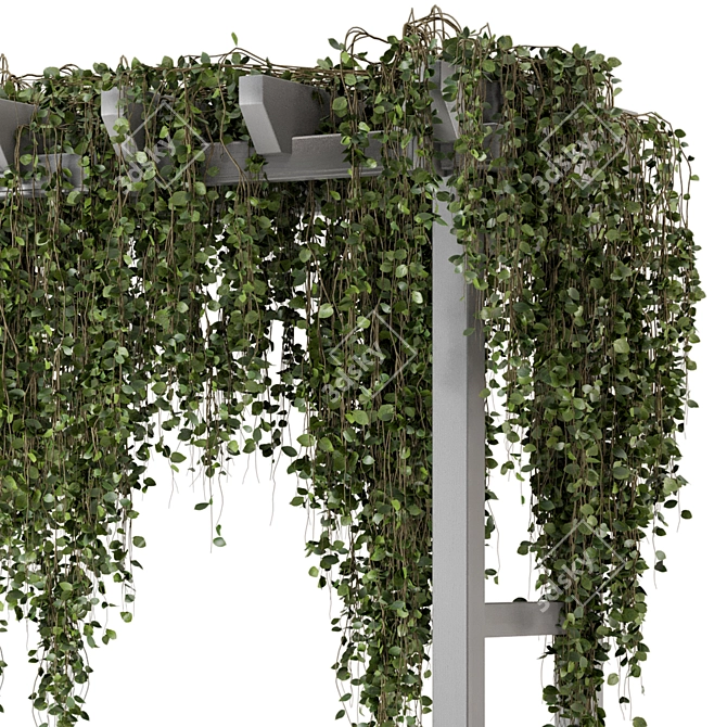 Vibrant Outdoor Hanging Plants 3D model image 3