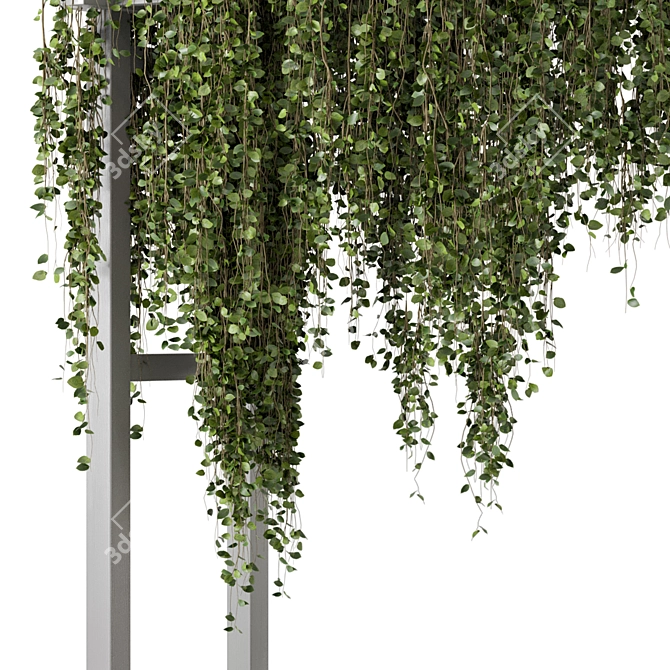 Vibrant Outdoor Hanging Plants 3D model image 4