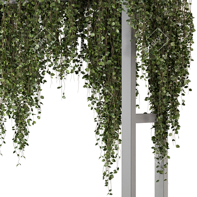Vibrant Outdoor Hanging Plants 3D model image 5