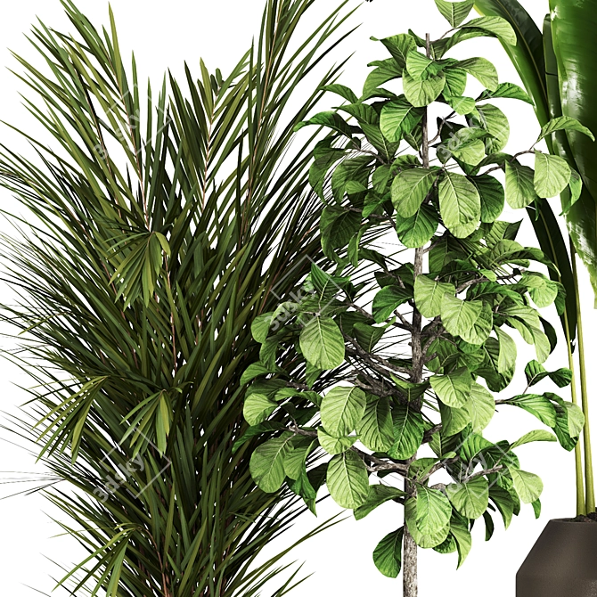 Indoor Plant Collection - Set of 59 3D model image 2