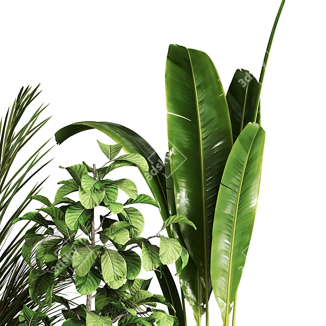 Indoor Plant Collection - Set of 59 3D model image 3