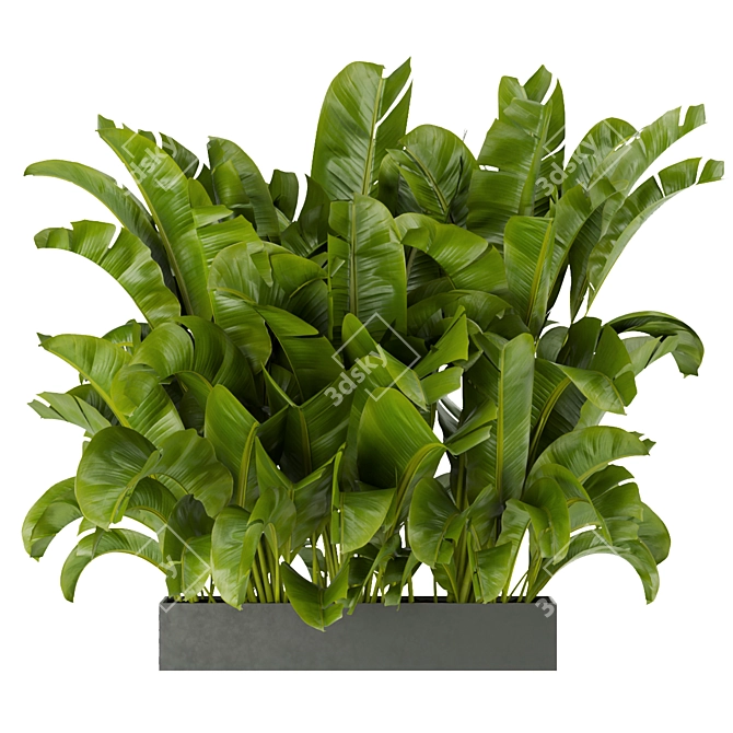 Tropical Vibes: Banana Leaf Plant 3D model image 3