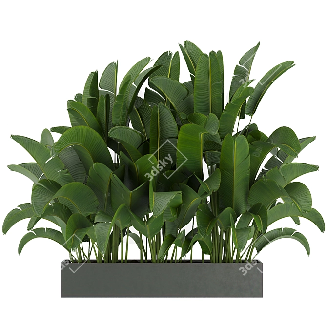 Tropical Vibes: Banana Leaf Plant 3D model image 4