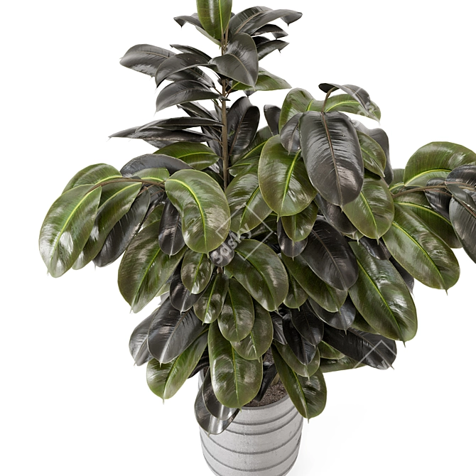 Rusty Concrete Pot Indoor Plants - Set 549 3D model image 2