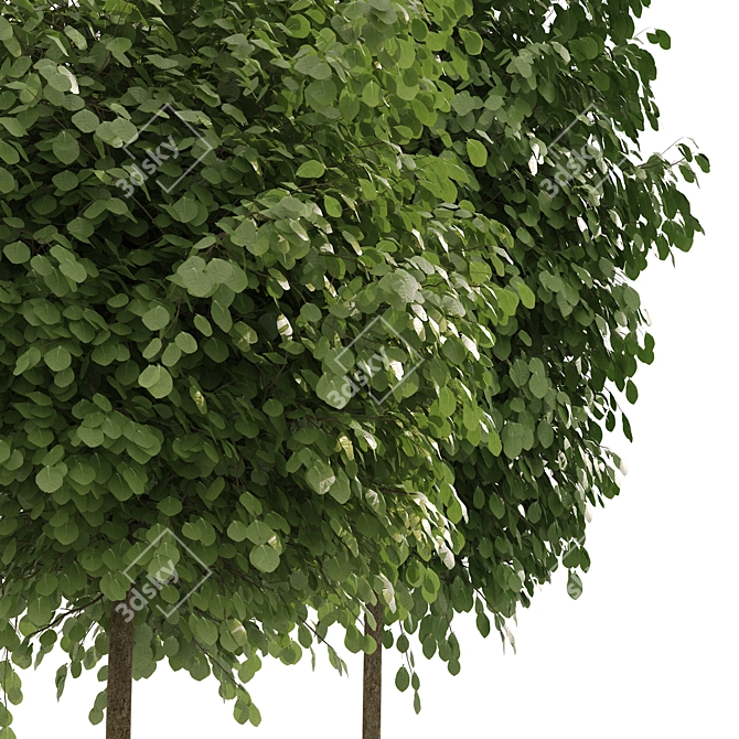 Lifelike Street Landscape Trees 3D model image 2