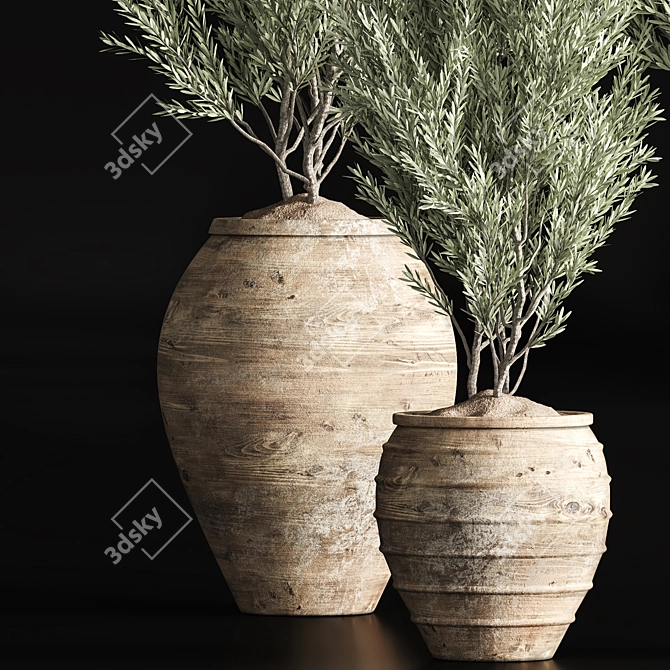 Indoor Olive Plant Set - Modern Design 3D model image 4