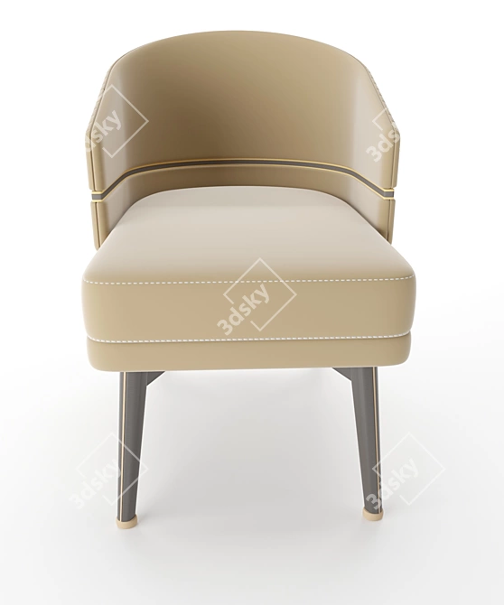 Cozy Comfort Aster Chair 3D model image 3