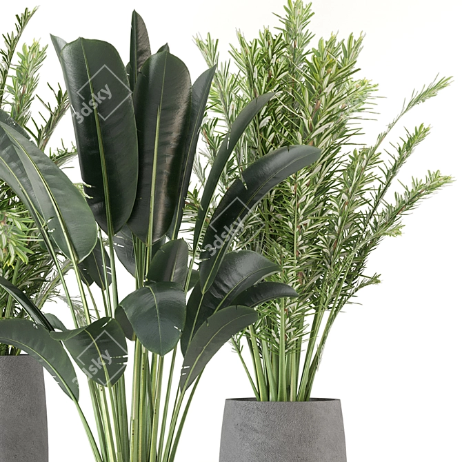 Green Oasis: Indoor Plants Collection 3D model image 3