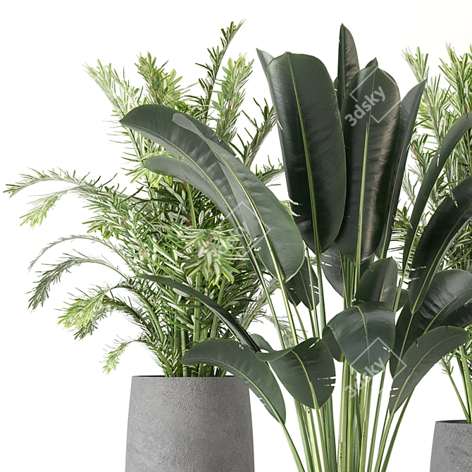 Green Oasis: Indoor Plants Collection 3D model image 4