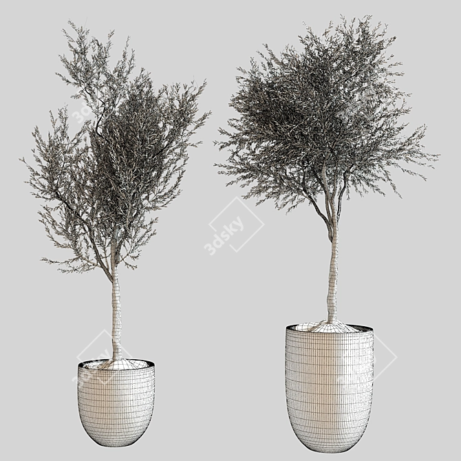 Modern Indoor Plant Decor 3D model image 8